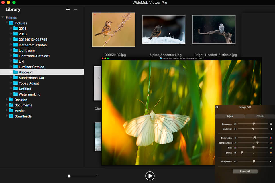 interfaz widsmob viewer