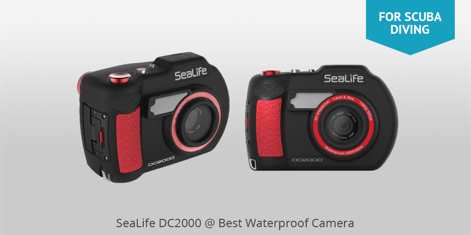 15 Best Waterproof Cameras In 2022