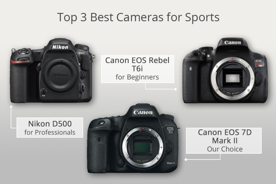 10 Best Cameras for Sports and Action Photos – What is the Best DSLR ...