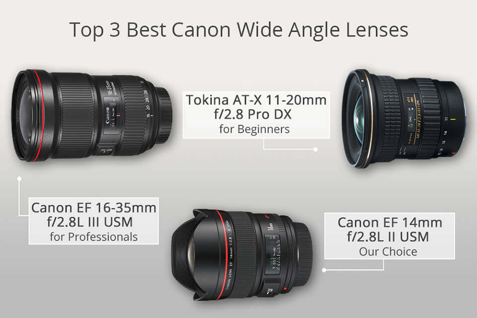 Luipaard Weg Excursie 10 Best Canon Wide Angle Lenses in 2023