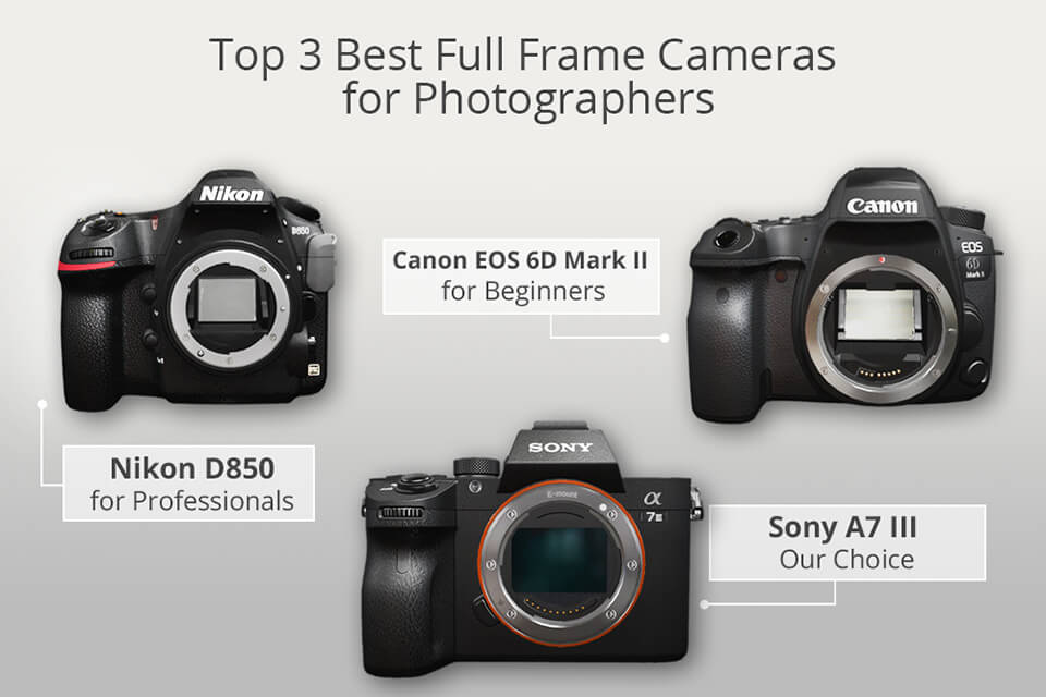 repetitie Onderzoek het Gedetailleerd 12 Best Full Frame Cameras in 2023