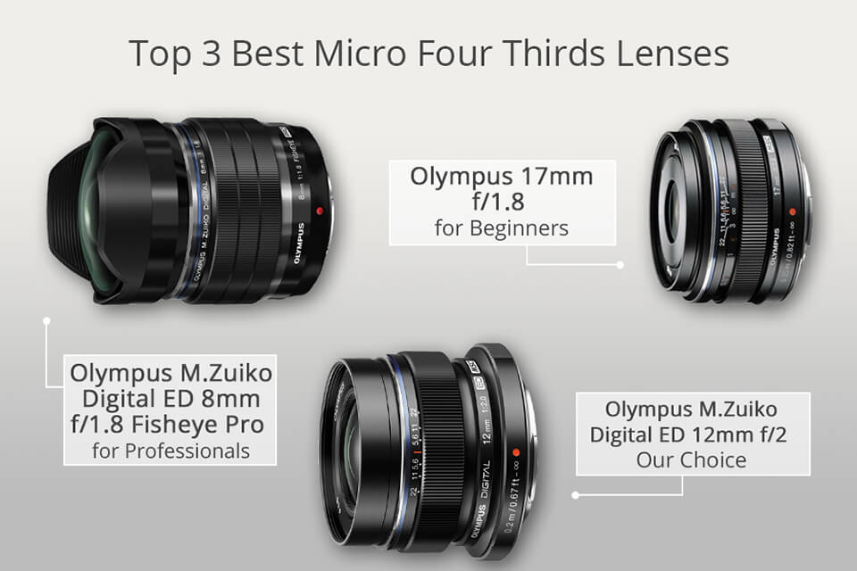 Voorzien BES Ophef 13 Best Micro Four Thirds Lenses in 2023