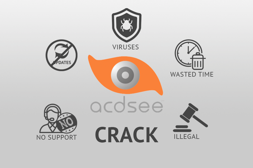 acdsee pro 6 free download full version