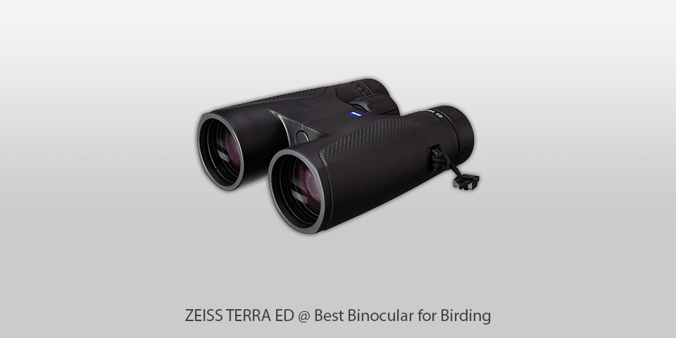Best Binocular For Birding Zeiss Terra Ed 