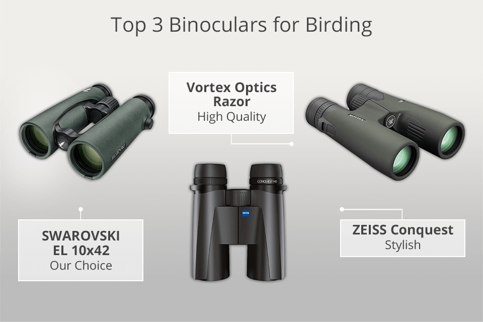 The best binoculars for bird watching | The Telegraph