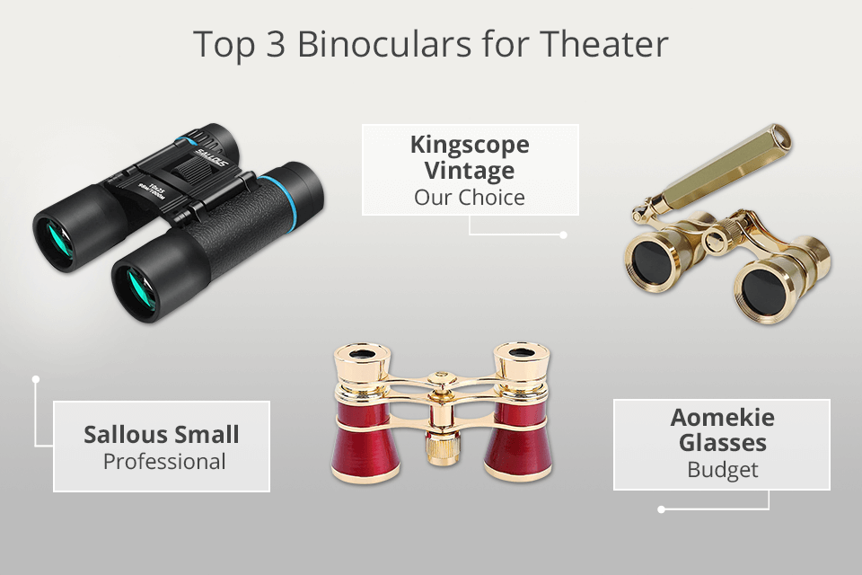9 Best Binoculars for Theater in 2020