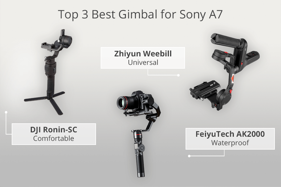 pivote jamón Impresionismo 4 Best Gimbals for Sony A7 in 2022