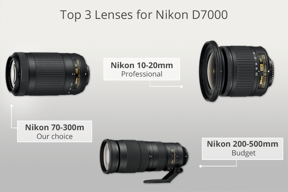 Secretaris Politiebureau Beïnvloeden 9 Best Lenses for Nikon D7000 in 2023
