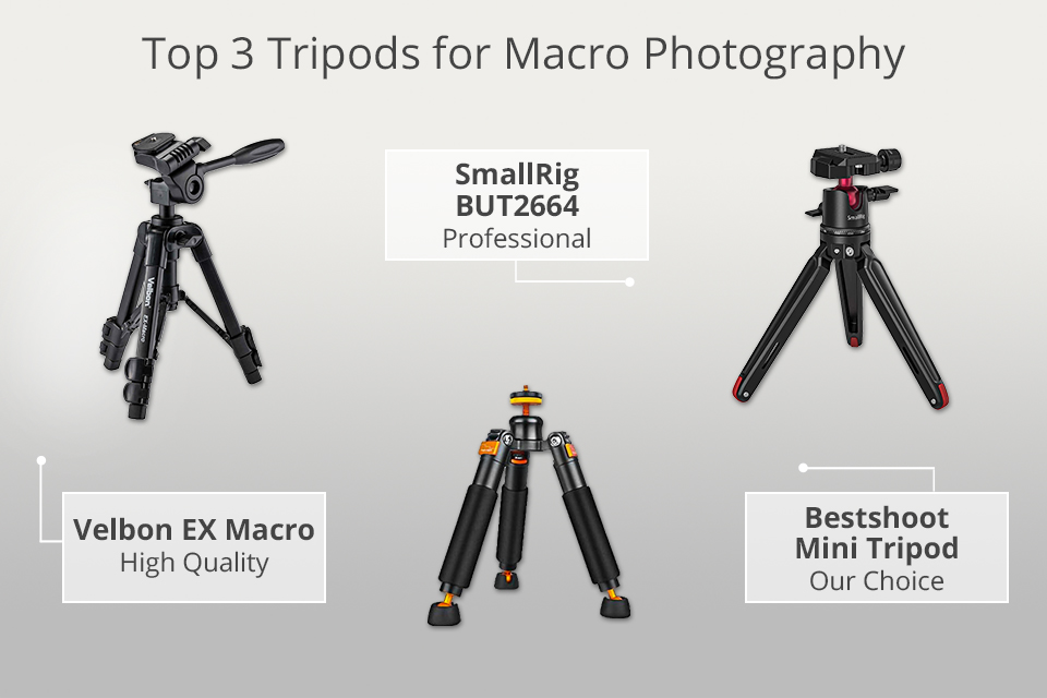 inch besteden te veel 6 Best Tripods for Macro Photography in 2023