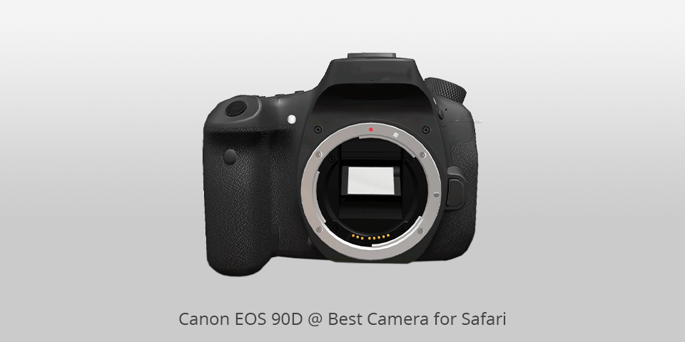 camera for safari cannon eos
