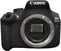 Canon EOS cameras under 500