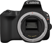 Canon best camera under 500