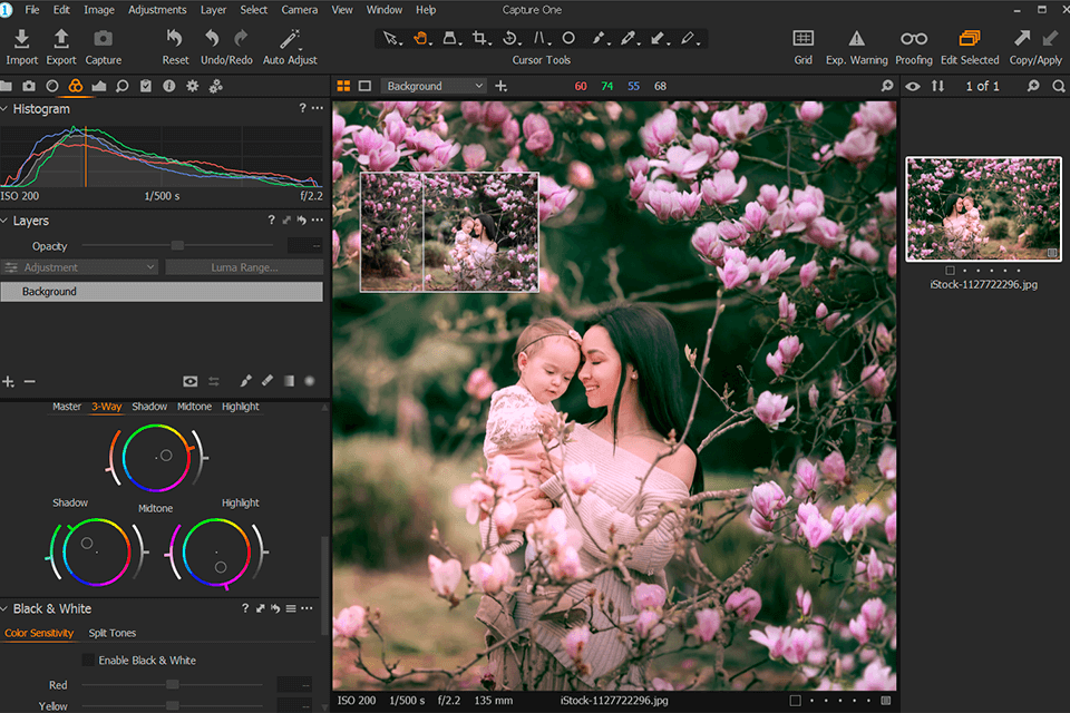 12 Best Photo Editing Software for Beginners in 2023