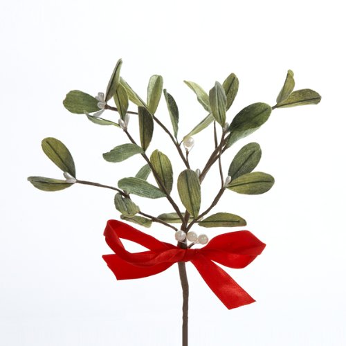 photography props for adults mistlotoe