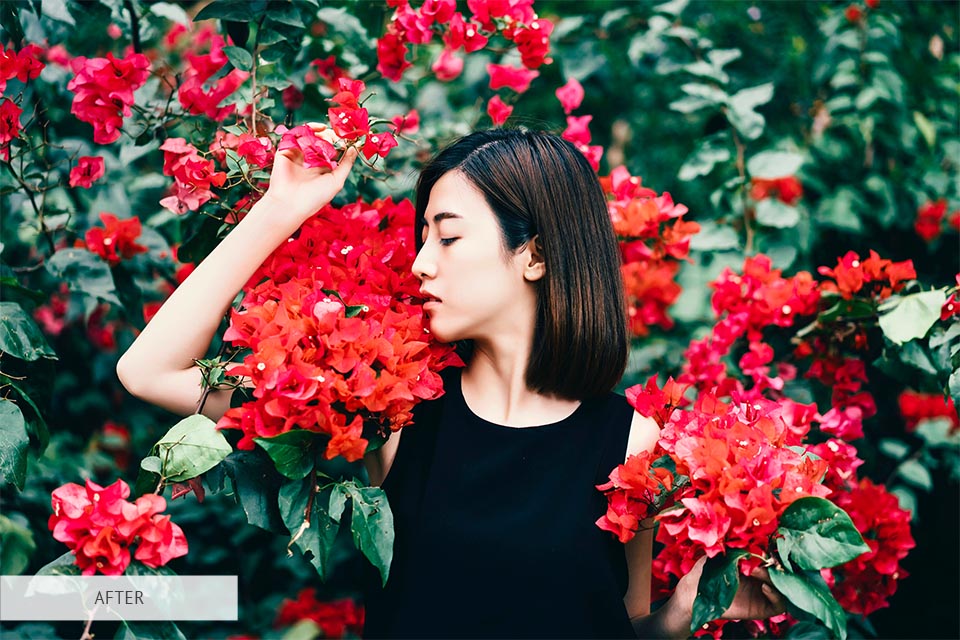 Darktable Review 2024 Is Darktable Better Than Adobe Lr?