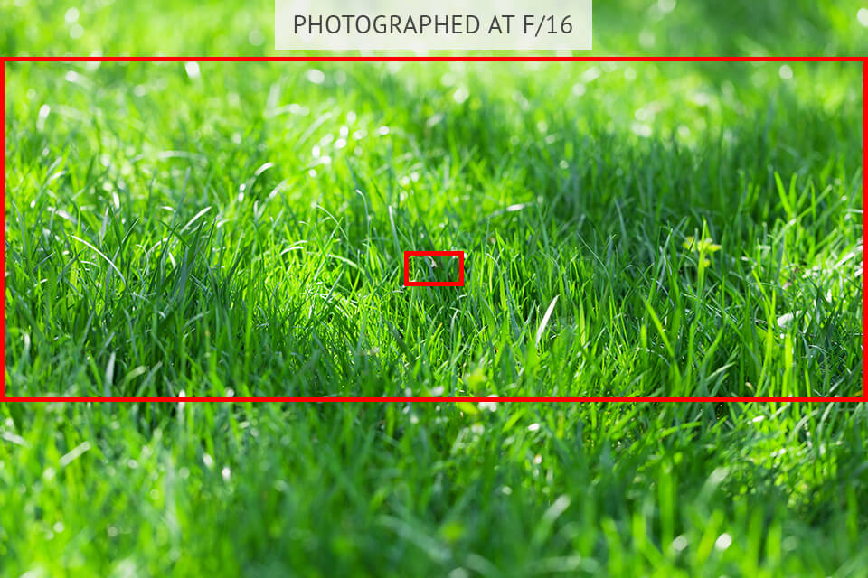 Focus field. DOF examples. GX Focused field. Dept od field Focus.