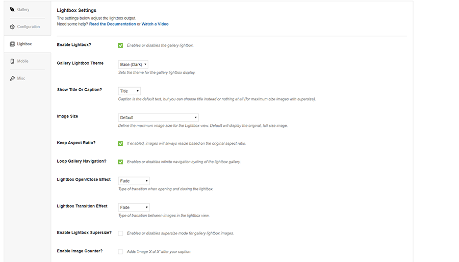 Envira Gallery Review 2024 – Is It Good for WordPress Galleries?