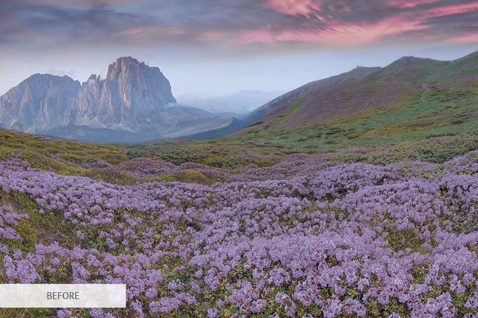 15 Nature Photography Editing Tips for Beginners