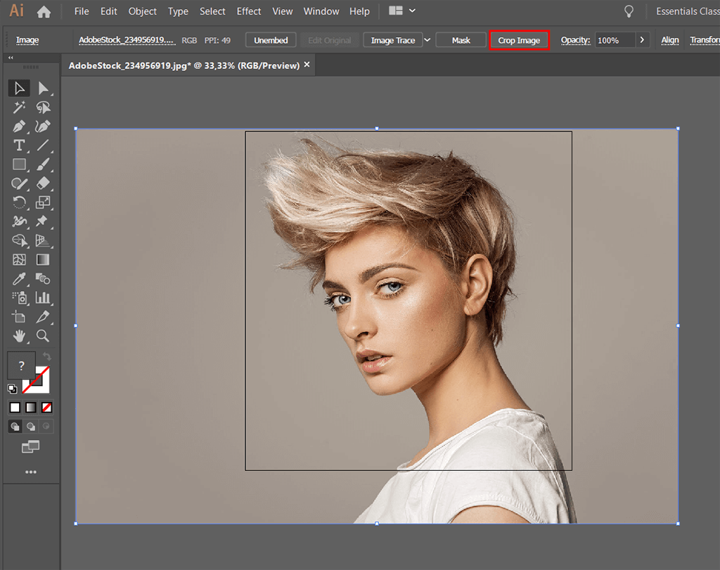 How to Crop in Illustrator