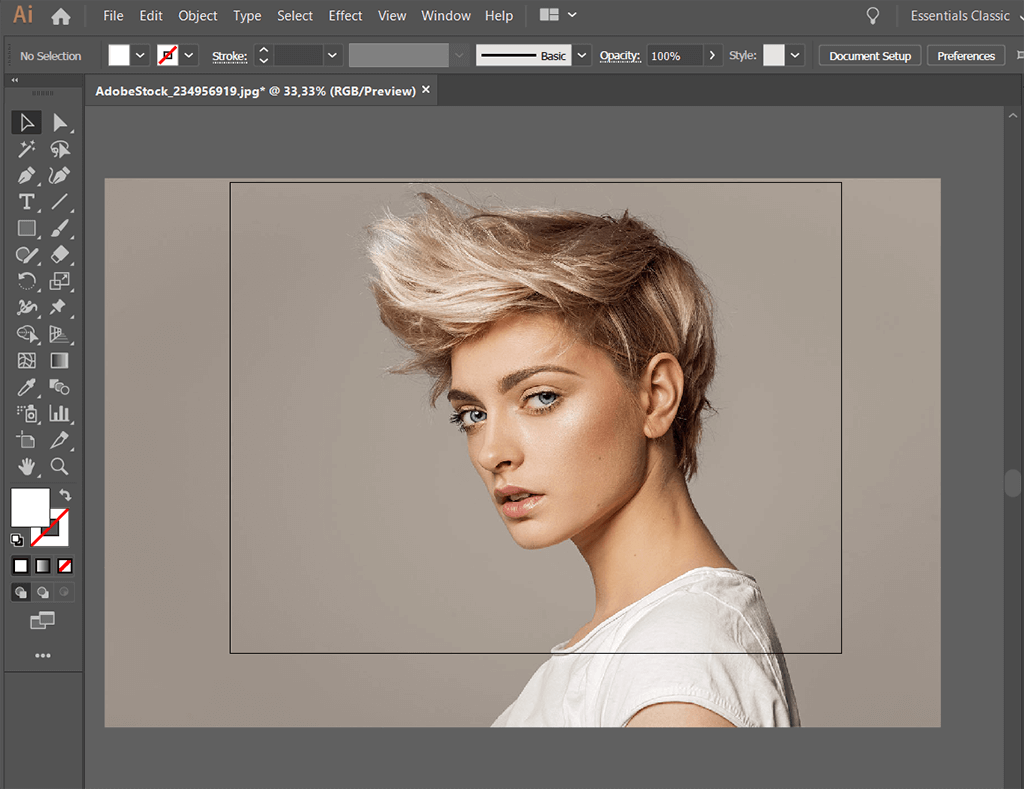 how to crop image in illustrator