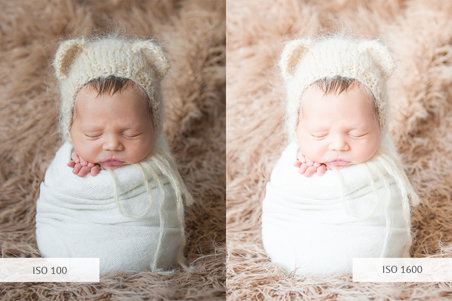 Newborn Photography Lighting Guide for Beginning Photographers