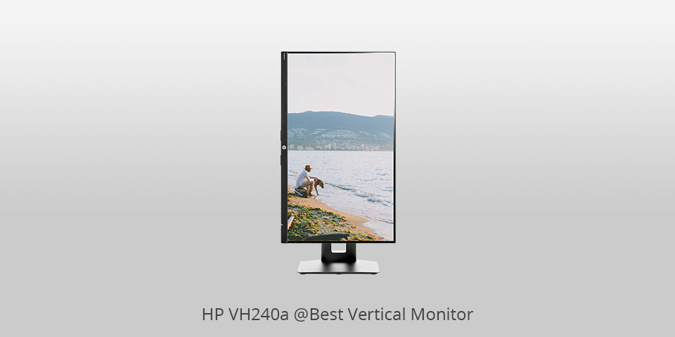 affordable vertical monitor