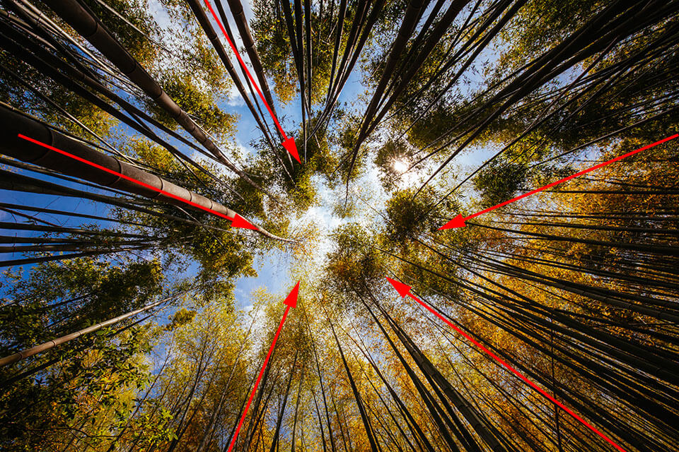 Leading Lines Photography Examples Leading Lines In Photography