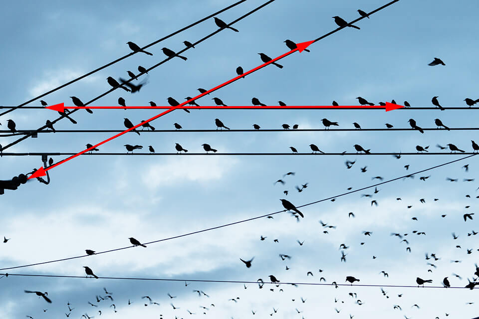 How to Use Leading Lines in Photography 18 Tips