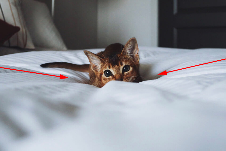 How to Use Leading Lines in Photography: 18 Tips