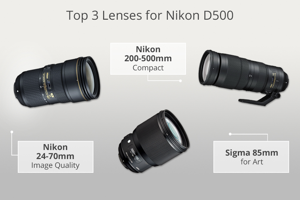 vermoeidheid Beoordeling Alice 5 Best Lenses for Nikon D500 in 2023