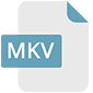 matroska logo best video format