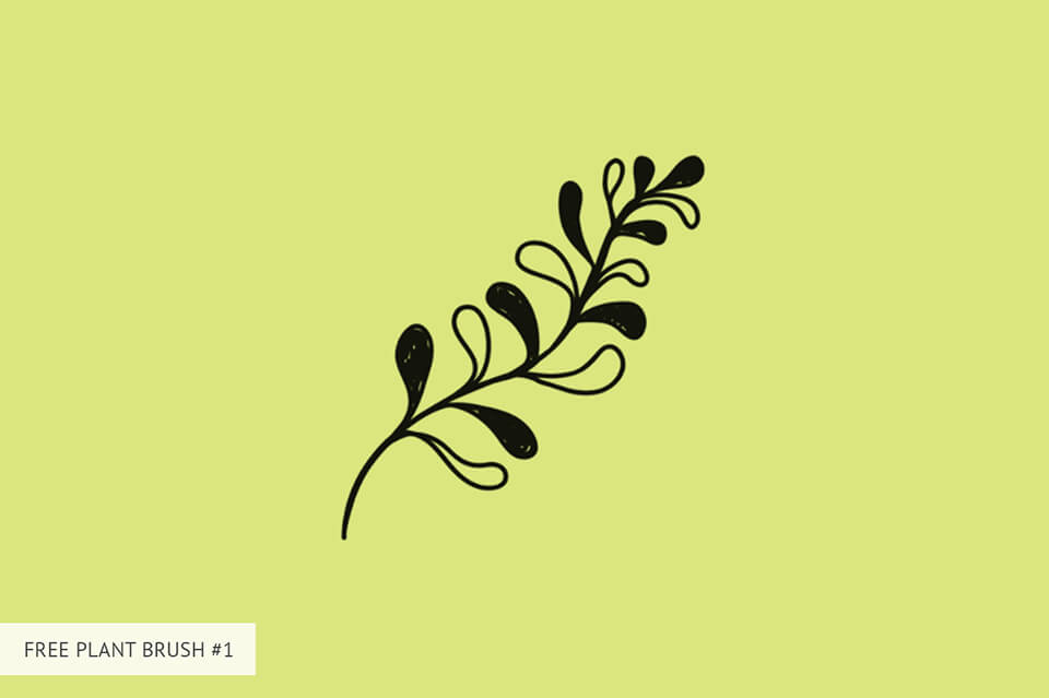 meadow plants coreldraw x4 crack freebie