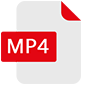mp4 logo best video format