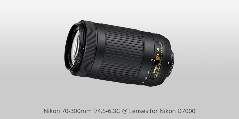 Uitbeelding Materialisme Klaar 9 Best Lenses for Nikon D7000 in 2023