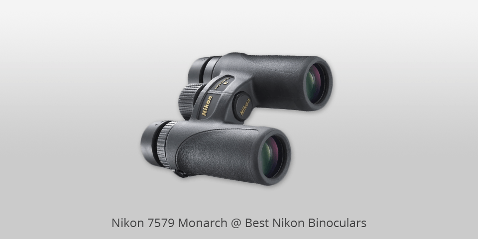 9 Best Nikon Binoculars in 2024