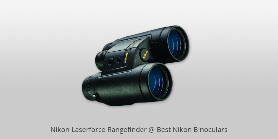 9 Best Nikon Binoculars In 2024