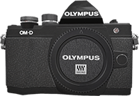 Olympus OM-D E-M10 best camera under 500