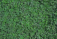 faux grass photo booth props 