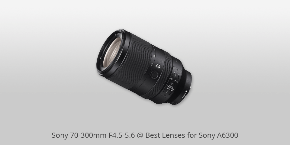 Best Lenses For Sony A6300 In 2021 Camera Ears