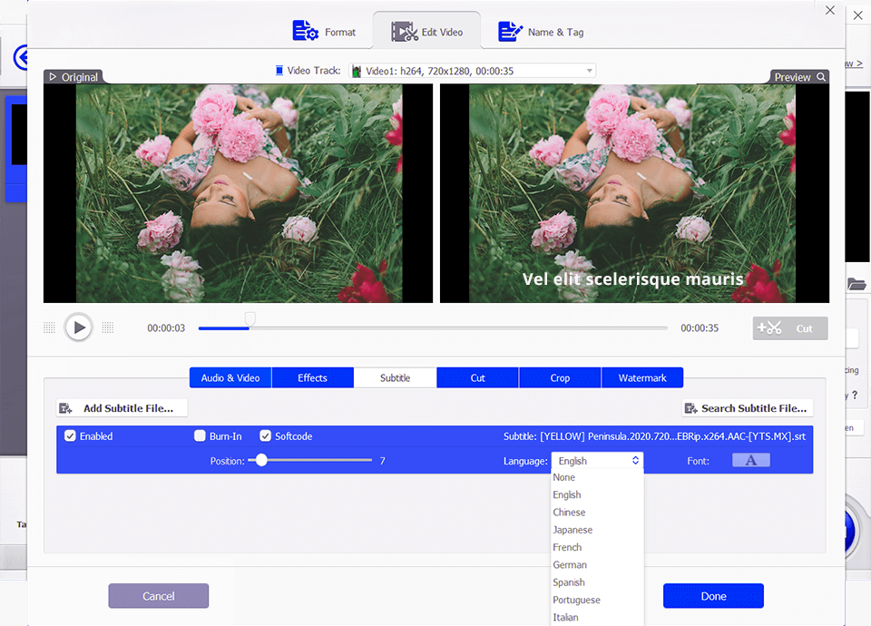 16 Best Subtitle Editors in 2024