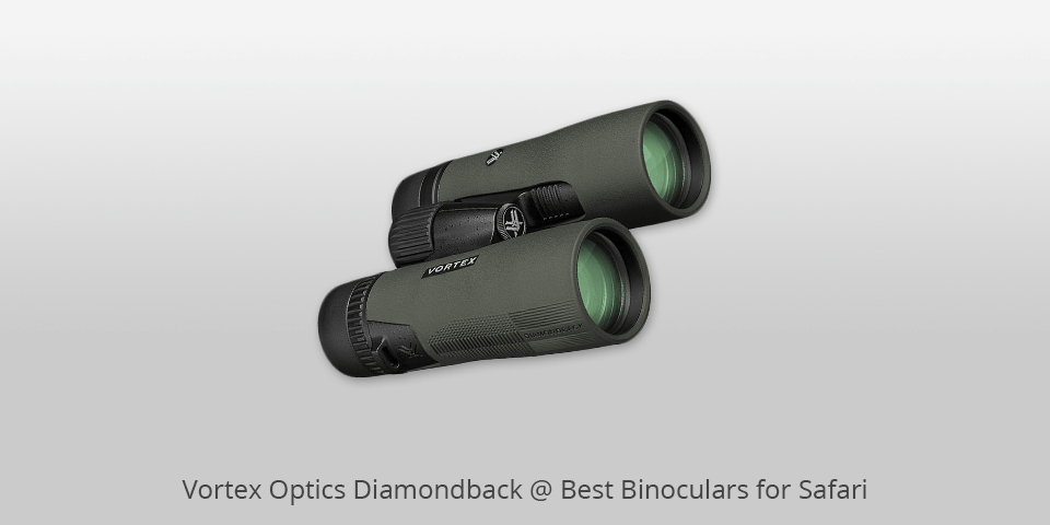 vortex binoculars with glass elements