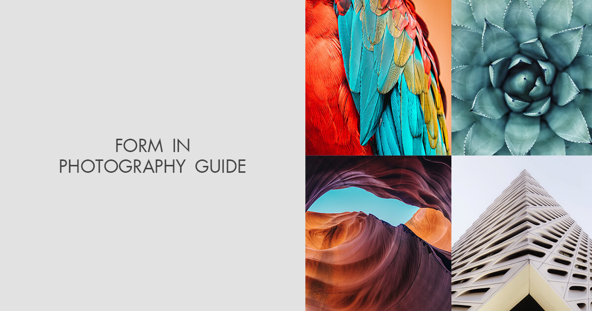 Examples Of Form In Photography Geometric Photography How To Guide Examples Of Form In Photography Geometric Photography How To Guide