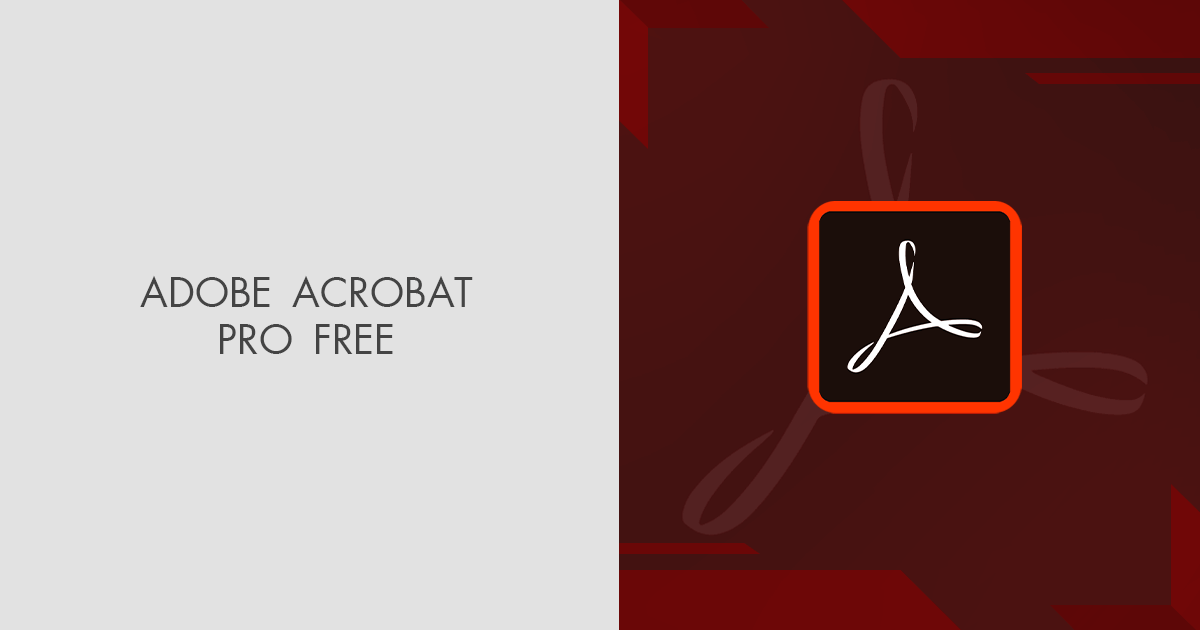 Adobe Acrobat Pro DC 2020 Interface