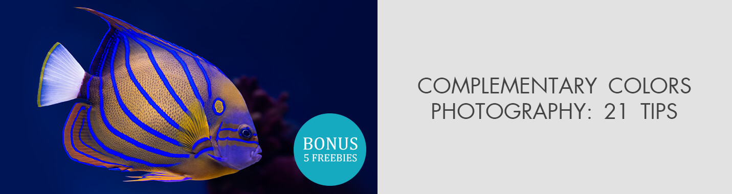 Complementary Colors In Photography: 21 Tips