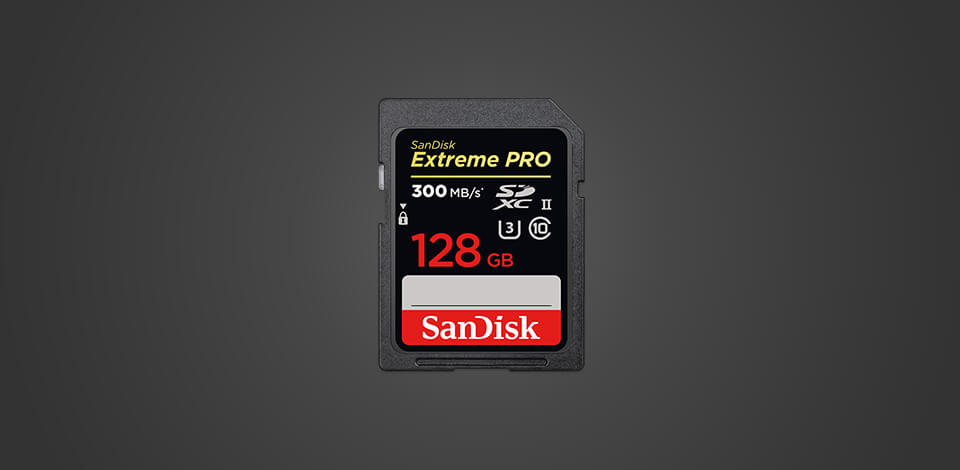 11 Best SD Cards for DSLR in 2025