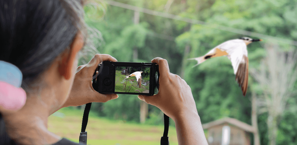 How We Tested Cameras for Birding Photography