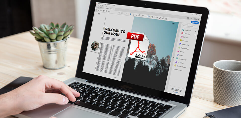 12 Besten Kostenlosen PDF-Reader im Jahr 2025