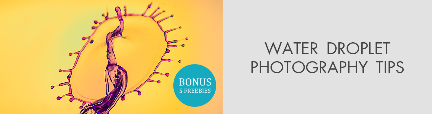 Water Droplet Photography Guide: 17 Tips