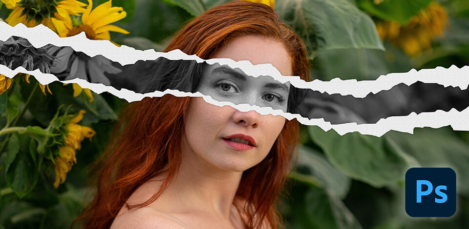 Ripped Paper Effect in Photoshop Free Bonus Tools