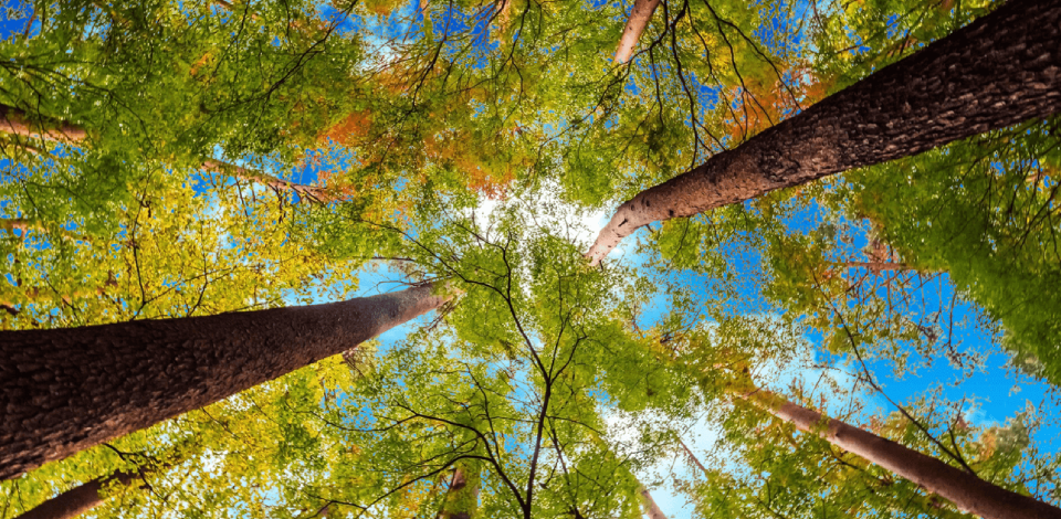 POV Photography Common Mistakes